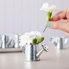 Juvale Mini Watering Can - 3 x 1.6 in, Silver,