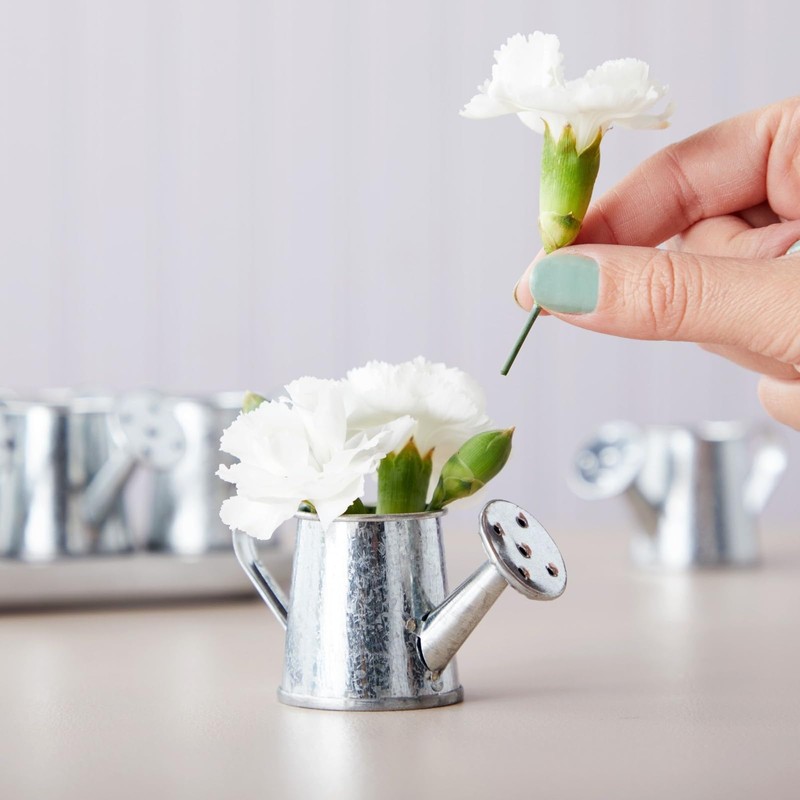 Juvale Mini Watering Can - 3 x 1.6 in, Silver,