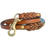 Soft Touch Collars Leather Braided Dog Leash, Tan with Teal