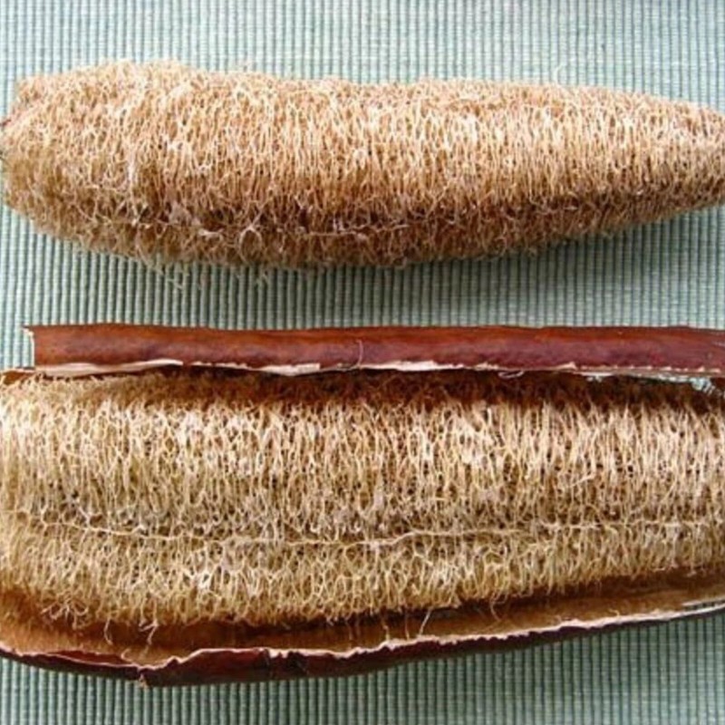 JQBay Super Long Luffa Gourd Seeds – 30 Seeds –