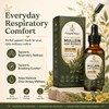 Origin Drops Mullein, Mullein Drops for Lungs, 2 Fl Oz,