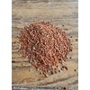 Milo, Red Sorghum 25 lb