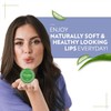 2 x Vaseline Lip Therapy Aloe Vera – 20g