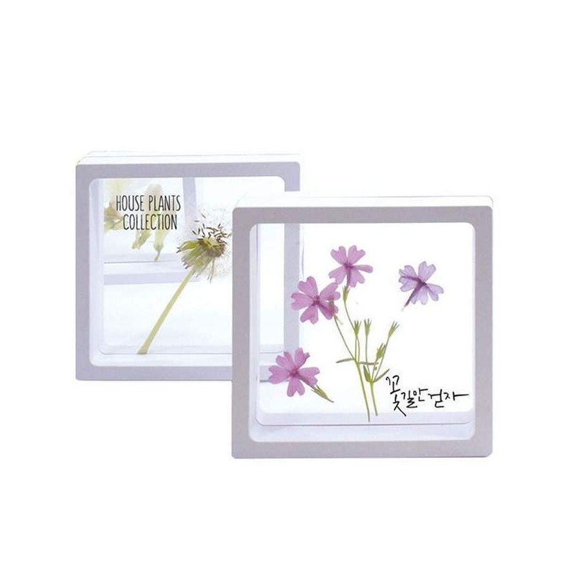 Global Easy Transparent Frame Herbarium/Pressed Flowers/Insects (Large) (Capacity for 10)