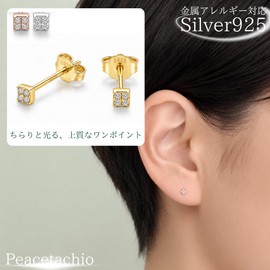 Hypoallergenic Silver 925 CZ Diamond Earrings, 0.08 inch (2 mm), Small, Extra Small, Mini, 18K Coating, 18K Gold, Silver
