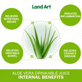 Land Art Pure Aloe Vera Juice Unflavoured 500 ml - Cold-Processed C from Organic Fresh Leaves C for Intestinal Issues C Made In Canada (Pack of 2)