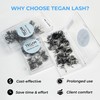 TEGAN LASH 500 Wispy Premade Fans Eyelash Extensions, Handmade Volume