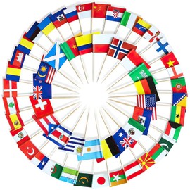 100Pcs Eurovision Toothpick Flags, 2024 World Flags Cocktail Sticks European Flags on Sticks Cocktail Fruit Stick Cupcakes Toppers World Cup Party Supplies(Assorted)