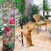 2 Packs of Dog doorbells, Training Adjustable Dog Bells, A