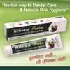 Premium Toothpaste - Pack of 12