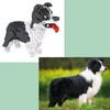 Atomic Building Border Collie dog. Figure to assemble with nanoblocks.