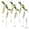 6Pcs Hanging Propagation Station with Crystal Ball Prisms Plant Suncatcher