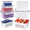 Freshmage Fruit Storage Containers with Removable Colander - 4 Pack