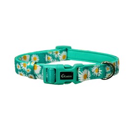 Olahibi Basic Dog Collar, Polyester Webbing Padded with Soft Neoprene, Daisy Pattern, for Medium Dogs.(M, Green Daisy)