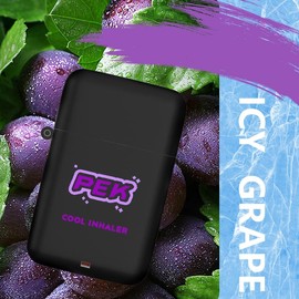 Pek Powerful Essential Oil Vapors Japanese Version Inhaler | Stay Alert for Long Drives, Study, and Work | Healthcare  Nasal Aromatherapy Healthy Wellness:_Blackcurrant