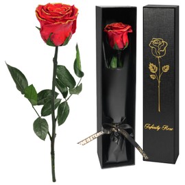 Yamonic Preserved Rose Gifts for Women,Eternal Real Rose with Stem Valentine's Day Gifts for Her, Birthday Gifts For Women, Eternal Flowers Gifts for Mum,Wife Gifts For Valentine's Day (2-Red+Gold)