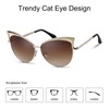 DQbhzh Oversized Cat Eye Sunglasses for Women Men Trendy Retro