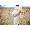 Birds & Bees Teas Peaceful Pregnancy Tea - Nourishing &