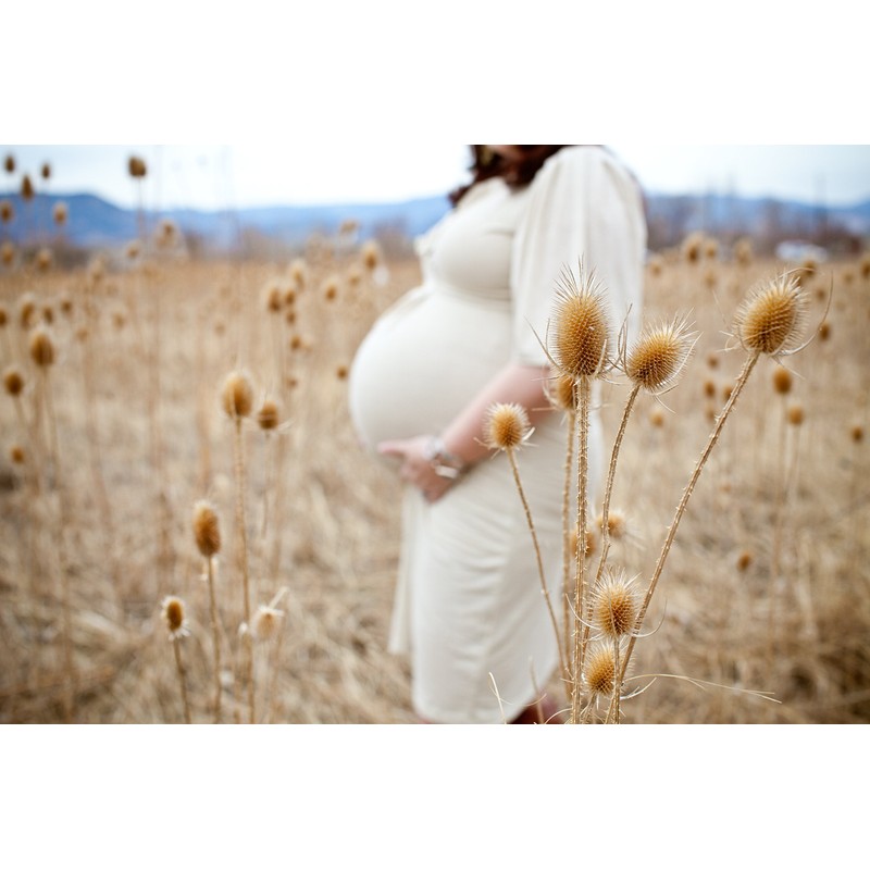 Birds & Bees Teas Peaceful Pregnancy Tea - Nourishing &