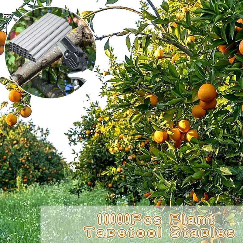 10000 Pcs Plant Tapetool Staples, 604C Garden Plant Tying Machine
