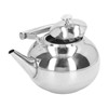 Stainless Steel Teapot Tea Kettle with Removable Filter High Temperature