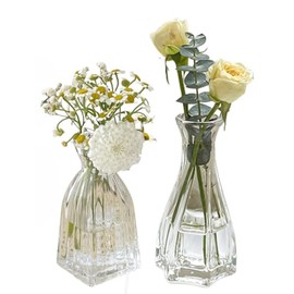 Set of 2 Small Clear Glass Vase,Embossed Glass Bud Vase Hydroponic Vase,Mini Table Vase Clear Flower Vase Decorative for Wedding Farmhouse Party Home Centerpieces Decor(Clear Grey)