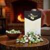 SweetGourmet Premium Chocolate Filled Mints | Arcor Hard Candy |