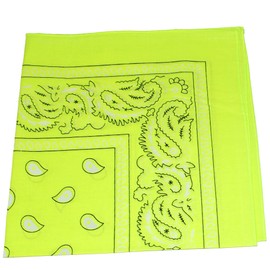 Daily Basic 12 Pack Cotton 22 x 22 inches Paisley Printed Bandana (Neon Yellow)