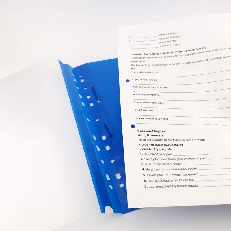 D.RECT Lux PP File Folder A4 with Perforation Strong Polypropylene