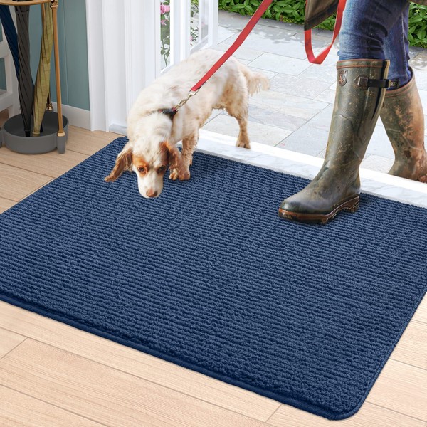DEXI Front Door Mat Entry Doormat Non Slip Thin Washable Inside Entryway Mats for Home Entrance 19.5"x31.5",Blue