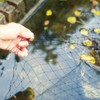 Pond Net, Pond Netting, Pond Netting for Leaves, Bird Netting,