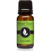 Cucumber Premium Grade Fragrance Oil - Scented Oil - (10ml)