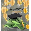 CoTa PLUSH GRADUATION - 6" PLUSH - SEA TURTLE