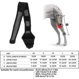 Pyhodi Dog Elbow Brace Protector Pad, Hygroma Elbow Pad and Shoulder Protector for Dog Elbow and Shoulder Support, Elbow Hygrom, Dysplasia, Osteoarthritis, (Black)