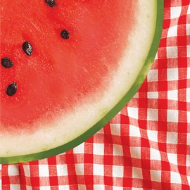 Creative Converting 18 Count Lunch Napkins, Watermelon Check