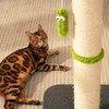 TINYBEAST 34.7" Tall Cat Scratching Post, 3 in 1 Heavy