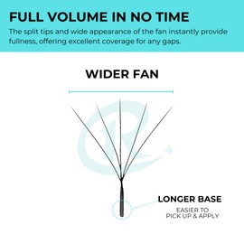 LAREALSH W Shape Eyelash Extension 5D Premade Volume Fans 0.07 C D Cluster W Fans Lashes 9-15mm W Lashes Easy Application Matte Black Volume Premade False Eyelashes (5D W 0.07 D, 15mm)