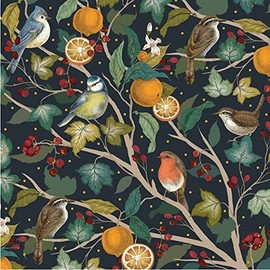 Christmas Card Box. Robins and Oranges. 8 Foiled and Embossed Christmas Cards. Size 16 x 16 cm Standard Postage