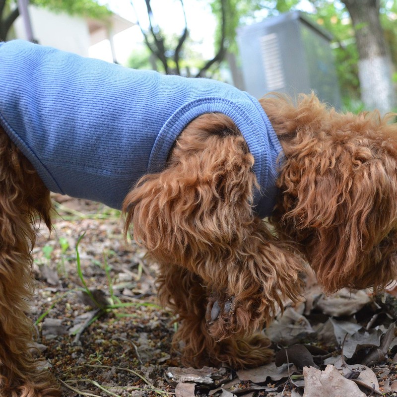 Lovelonglong 2019 Summer Pet Clothing, Dog Clothes Blank T-Shirts Ribbed