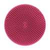 Fancy Pets Expert Grooming Goma Limpiadora de Pelo para Perro