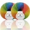 2 Skeins Rainbow Soft Yarn 100% Wool Gradient Multi Color