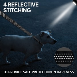 PetiFine Reflective Dog Collar, Adjustable Classic Nylon Dog Collars for Small/Medium/Large Dogs, High Visibility Dog Collars with Quick Release Buckle (Collar+Leash L, Black)