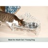 Oligsky Iron Dog Cat Bowls Elevated - Dog Cat Food