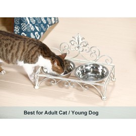 Oligsky Iron Dog Cat Bowls Elevated - Dog Cat Food and Water Dish Bowl Set - Raised Small Dog Cat Bowl Stand - Antique White