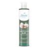 Shampoo Concentrado De Ajo Sheló Nabel 530ml Antiseborreico