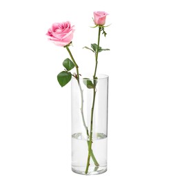 Guluto Unbreakable Transparent Flower Base, Acrylic, Stylish, Elegant, Large, Interior Vase, Hydroponic, Flower Arrangement, Artificial Flowers, Suitable for Living Room, Bedroom, Office Decoration