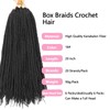 Smilco 20-Inch Braids Crochet Hair - 6 Packs of Goddess