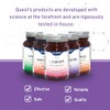 Quest Vitamins Enzymes Digest Digestive Aid Tablets 100g