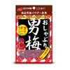 Nobel Confectionery Pacifier Male Plum Sheet 0.3 oz (10 g)