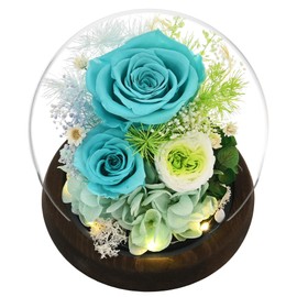 Birthday Flowers for Delivery Prime, Mothers Day & Christmas Gifts for Women, Mom, Grandma, Blue Fresh Flowers in Glass Dome, Anniversary Wedding Christmas Thanksgiving Gifts (Blue)